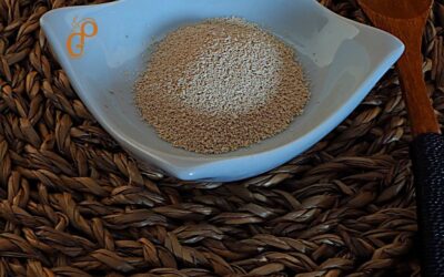 Levadura. Tipos y usos