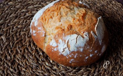 Pan Payès #1libro1pan