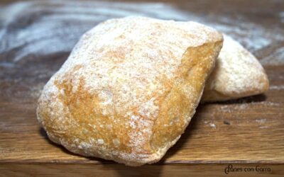 Pan de agua. Sublime miga y corteza magistral.